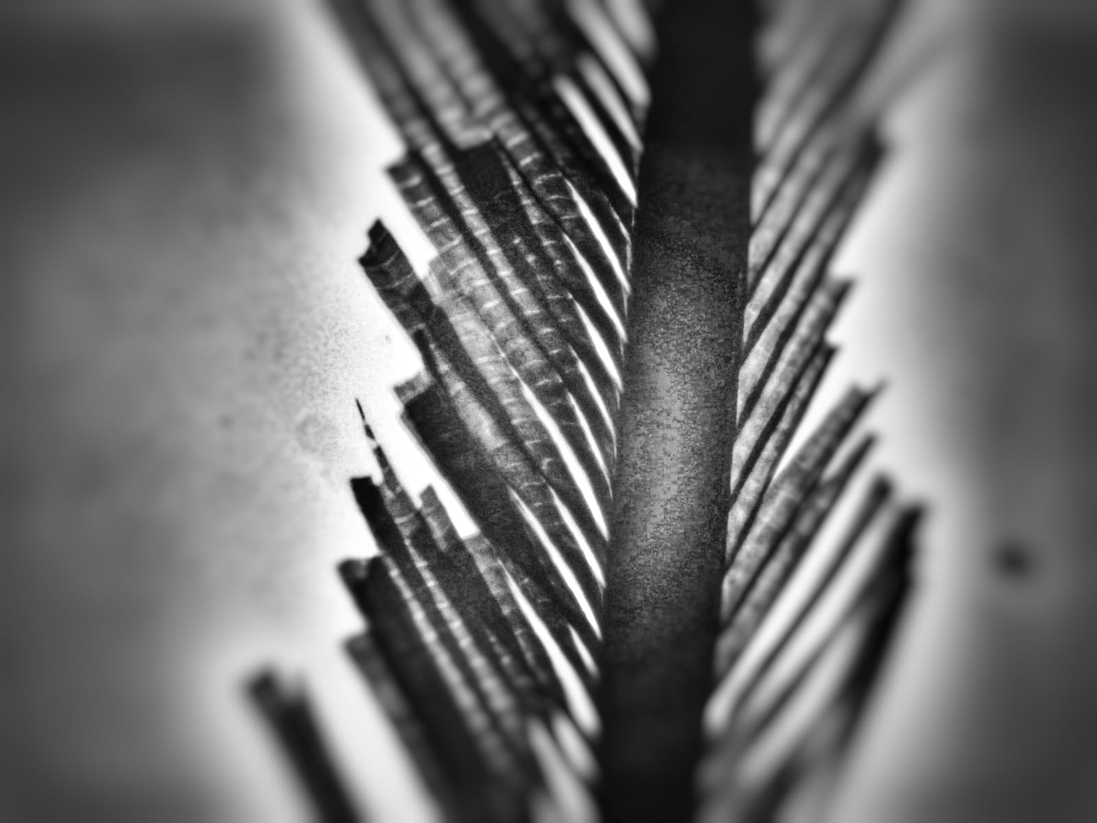 escape-1