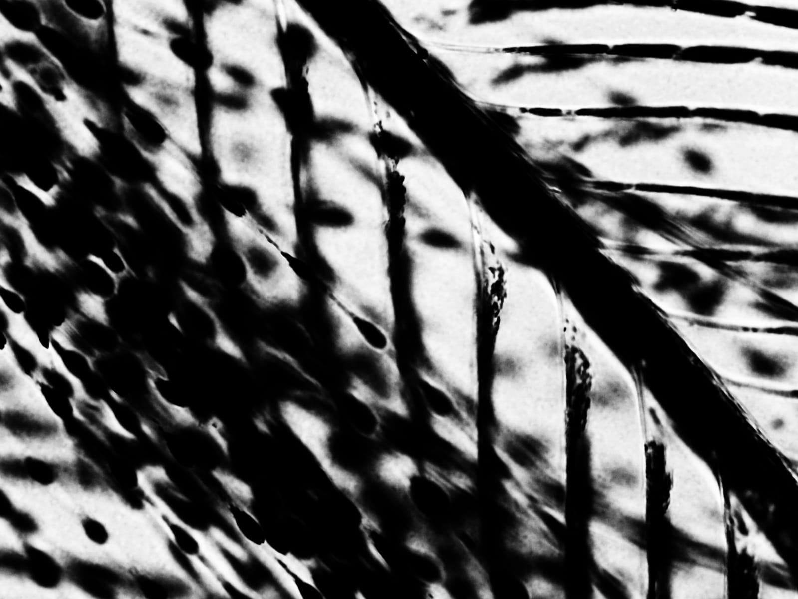 escape-3