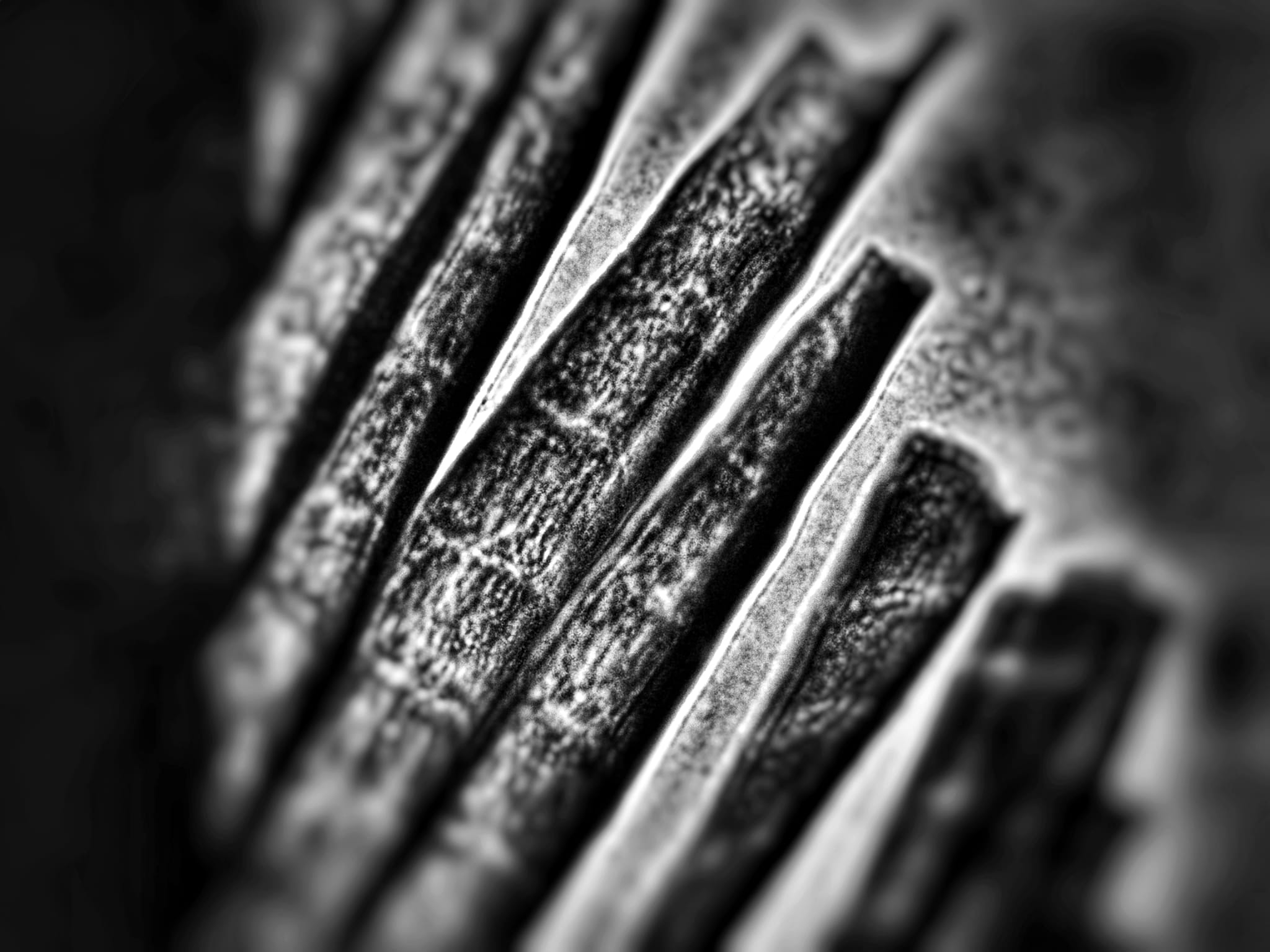 escape-4