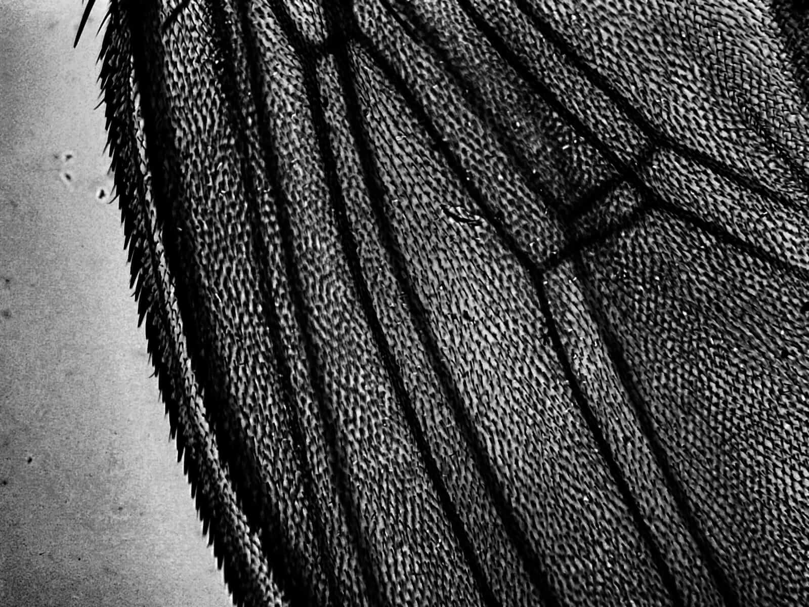unclassified-5