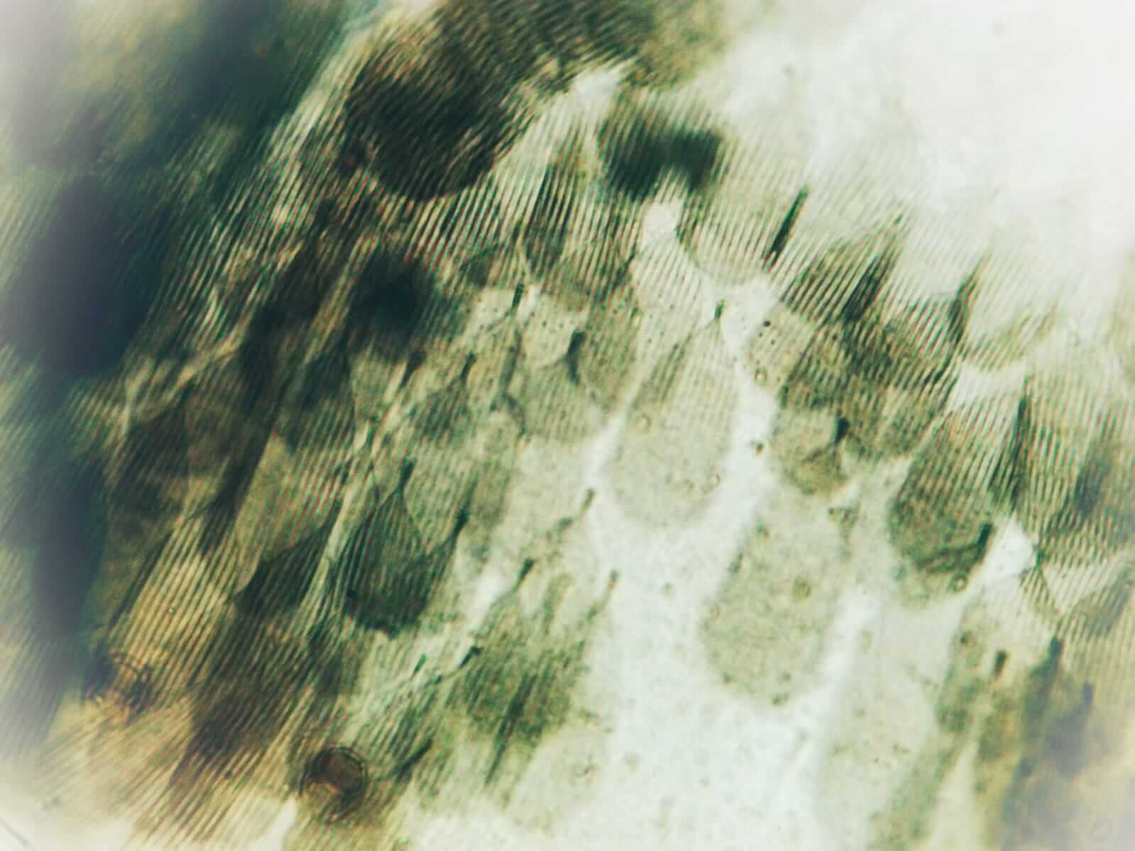 unclassified-6