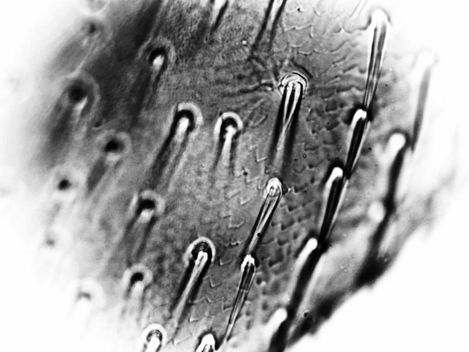 unclassified-7
